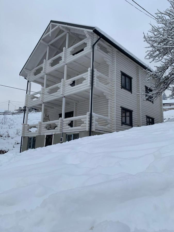 Villa Olexandr&Matvii Bukovel Exterior foto