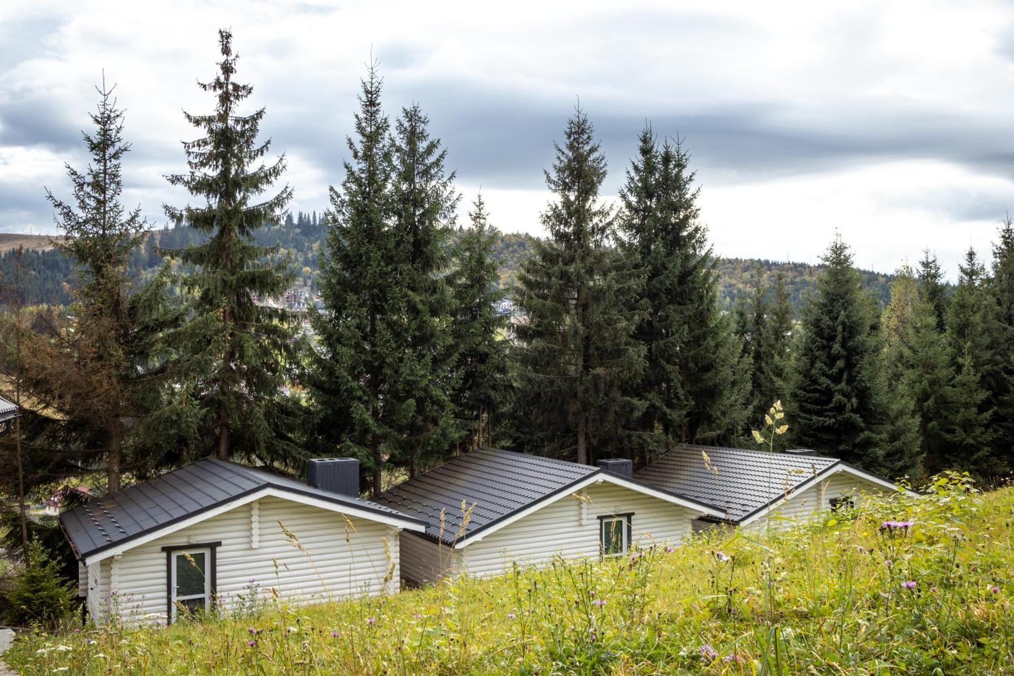 Villa Olexandr&Matvii Bukovel Exterior foto